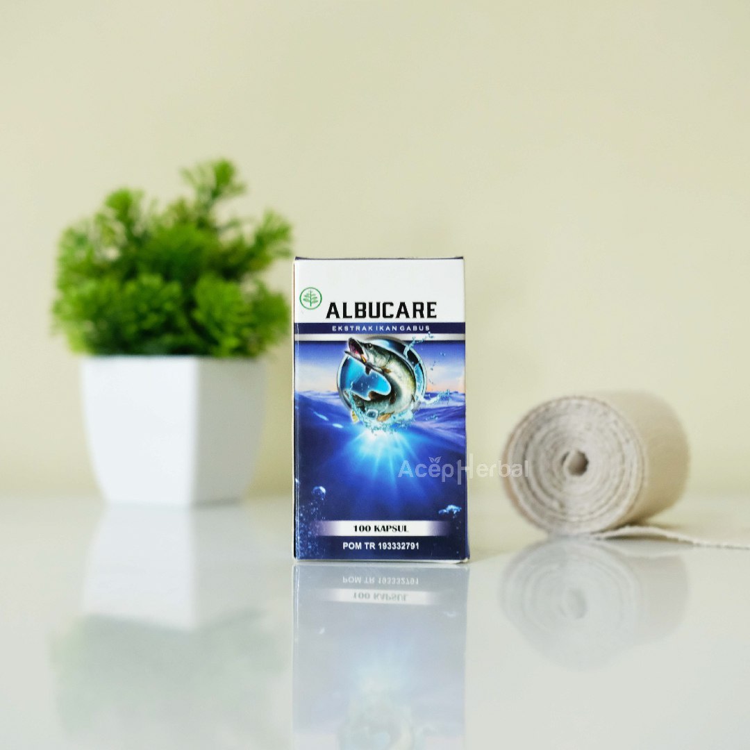 Ekstrak ikan gabus Alburcare kapsul kutuk Suplemen Original Albumin Bpom Halal mui isi 100 kapsul